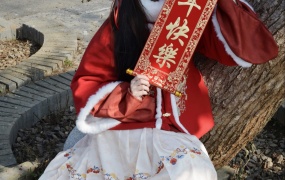 033/情情~【吉祥如意】我带着你们爱吃的冰糖葫芦来送祝福啦~